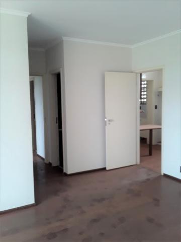 APARTAMENTO PARA LOCAÇÃO - 3 DORMITORIOS